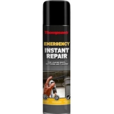 THOMPSON'S EMERGENCY INSTANT REPAIR 450GRM