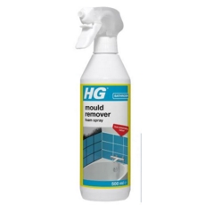 HG MOULD  REMOVER FOAM SPRAY