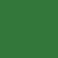 POLYVINE ACRYLIC ENAMEL EMERALD (56)  50MLS
