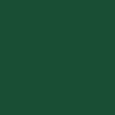 POLYVINE ACRYLIC ENAMEL BRUNSWICK GREEN (52)   50MLS