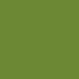 POLYVINE ACRYLIC ENAMEL Lime Enamel (69) 50ml