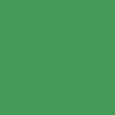 POLYVINE ACRYLIC ENAMEL SIGNAL GREEN (30)  20ML