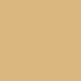 POLYVINE ACRYLIC ENAMEL SATIN OAK (31)  20ML