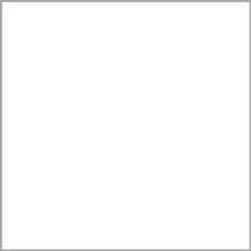 POLYVINE COLOURISER WHITE 50GRM