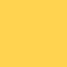 POLYVINE COLOURISER YELLOW OXIDE 50GRM