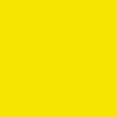 POLYVINE COLOURISER YELLOW 50GRM