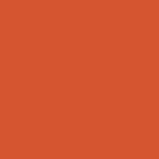 POLYVINE COLOURISER RED OXIDE 50GRM