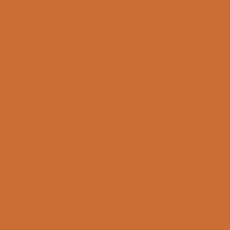 POLYVINE COLOURISER RAW SIENNA 50GRM