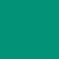 POLYVINE COLOURISER EMERALD 50GRM