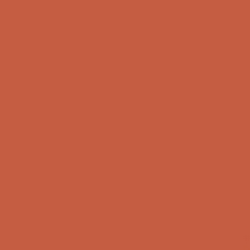 POLYVINE COLOURISER BURNT SIENNA 50G