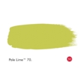 LITTLE GREEN ABSOLUTE MATT 60 ML. PALE LIME D
