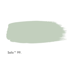 LITTLE GREEN ABSOLUTE MATT 60 ML. SALIX H