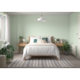 DULUX RETAIL MATT WILLOW TREE 2.5LITRE