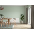 DULUX RETAIL MATT WILLOW TREE 2.5LITRE