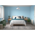 DULUX RETAIL VINYL SILK FIRST DAWN 5L