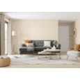 DULUX RETAIL SILK EMULSION Ivory 5LTS
