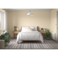 DULUX RETAIL SILK EMULSION Ivory 5LTS