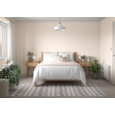 DULUX RETAIL Light & Space Soft Coral 2.5L
