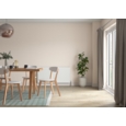 DULUX RETAIL Light & Space Soft Coral 2.5L