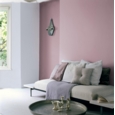 DULUX EASYCARE W&T TESTER DUSTED FONDANT 30ML