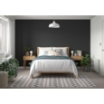 DULUX COLOUR TESTER RICH BLACK 30ML