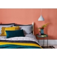 DULUX COLOUR TESTER COPPER BLUSH 30ML