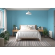 DULUX RETAIL MATT NORDIC SKY 2.5L