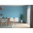DULUX RETAIL MATT NORDIC SKY 2.5L
