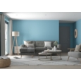 DULUX RETAIL MATT NORDIC SKY 2.5L
