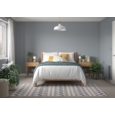 DULUX COLOUR TESTER NATURAL SLATE 30ML