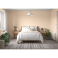 DULUX RETAIL VINYL SILK SOFT PEACH 2.5LITRE