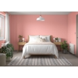 DULUX RETAIL COLOUR TESTER BOHO BLUSH 30ML