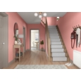 DULUX RETAIL COLOUR TESTER BOHO BLUSH 30ML