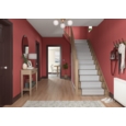 DULUX RETAIL COLOUR TESTER AUBURN EMBERS 30ML