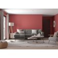 DULUX RETAIL COLOUR TESTER AUBURN EMBERS 30ML