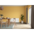 DULUX RETAIL COLOUR TESTER CALIFORNIA DAYS 30ML