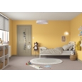 DULUX RETAIL COLOUR TESTER CALIFORNIA DAYS 30ML