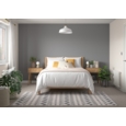 DULUX REFRESH ONE COAT FEATURE WALL URBAN OBSESSION 1.25L