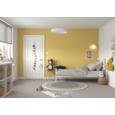 DULUX REFRESH ONE COAT FEATURE WALL GOLDEN SANDS 1.25L
