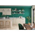 DULUX REFRESH ONE COAT FEATURE WALL EMERALD GLADE 1.25L