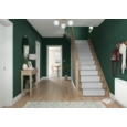 DULUX RETAIL COLOUR TESTER PINE NEEDLE 30ML
