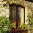 SADOLIN 10 YEAR QUICK DRY WOODSTAIN JACOBEANWALNUT 2.5L