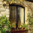 SADOLIN 10 YEAR QUICK DRY WOODSTAIN EBONY 1L