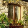 SADOLIN 10 YEAR QUICK DRY WOODSTAIN NATURAL 1L