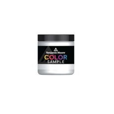BENJAMIN MOORE NEW COLOUR SAMPLE COLOUR (B1) 236ML