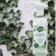 GARDEN MATE DEAD IVY REMOVER 500ML