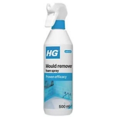 HG MOULD  REMOVER FOAM SPRAY